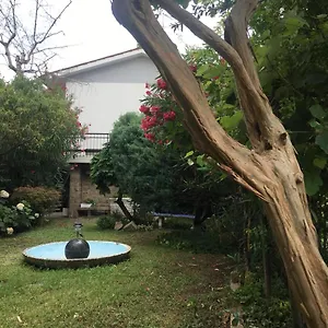 Rotonda Dai Santi Rovigo